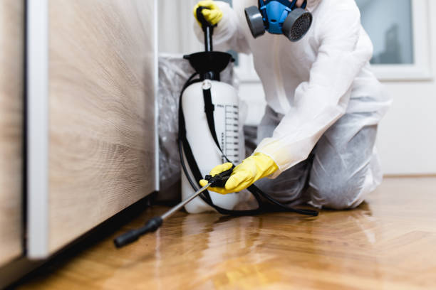 Best Affordable Pest Control Services  in Sturgis, KY