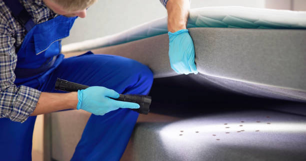 Best Termite Control Services  in Sturgis, KY