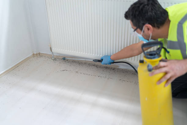 Best Emergency Pest Control  in Sturgis, KY