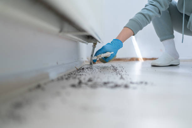 Best Cockroach Control Services  in Sturgis, KY