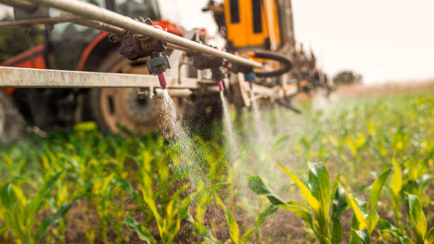 Best Pest Removal Services  in Sturgis, KY